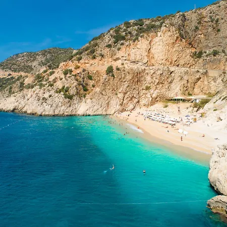 Heyday * ダルヤン