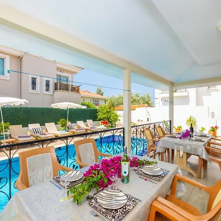 Heyday * ダルヤン